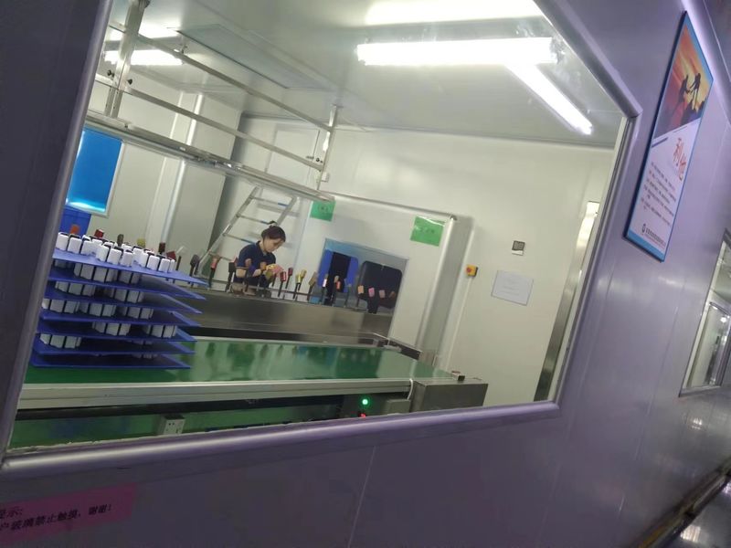 Dongguan JoonPang Plastic Mold Co., Ltd. 製造者の生産ライン